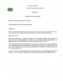 INFORME CORTO