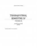 Trabajo final v