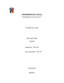 Teorias de la vida