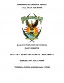 Estruturas florales de Gramineas