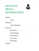 Informe de ccnn