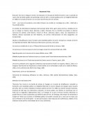 Rosemarie Tissi ensayo