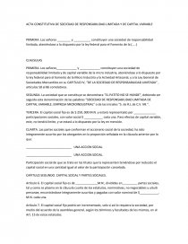 ACTA CONSTITUTIVA DE SOCIEDAD DE RESPONSABILIDAD LIMITADA Y DE CAPITAL  VARIABLE - Trabajos - learsi23