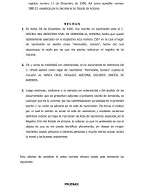 Demanda de Nulidad de Acta - Ensayos - gabrielaruelasg