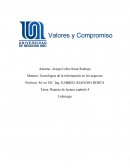 Tema de la mayor parte de la escasa investigación y trabajo sobre los subordinados suele explicar su conducta