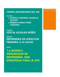 Modelo integrador de enfermería una estrategia para la APS - Resúmenes -  karii25