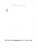 El Realismo en la Percepción