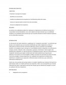 SENSIBILIDAD SOMATICA informe.