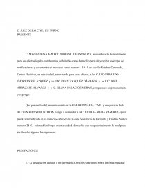 MODELO DE DEMANDA DE ACCION REIVINDICATORIA - Apuntes - GTV5