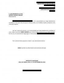 Pliego de posiciones de juicio ejecuivo Mercantil - Apuntes - ricardo_jcm
