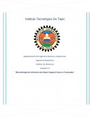Cuestionario analisis de alimentos