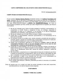 CARTA COMPROMISO DEL SOLICITANTE A BECA MANUTENCIÓN - Apuntes - OvAt Gr