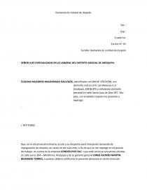 Modelo de demanda de nulidad de despido - Apuntes - augustoarcep