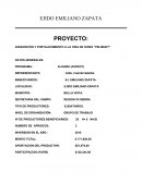 Adquisiciòn y fortalecimiento a la cria de ovino “Pelibuey”