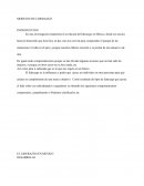 LOS MODELOS DE LIDERAZGO