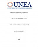 ENFERMERA PROFESIONAL COMO PLANIFICADORA