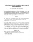 Hidroponía y sus beneficios como agricultura sostenible en Los Mochis Sinaloa, México
