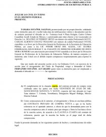 ORDINARIO CIVIL OTORGAMIENTO Y FIRMA DE ESCRITURA PÚBLIC - Apuntes -  gerry8808