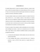 COFLEX PERÚ S.A.C.