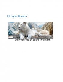 Ensayo: El León Blanco, especie en peligro de extinción. - Trabajos -  krizia2416