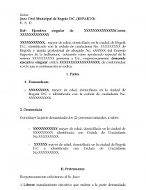 DEMANDA EJECUTIVA POR CANON - Prácticas o problemas - Andres1602