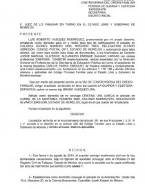 Demanda  DE GUARDA Y CUSTODIA - Documentos de Investigación  - luobotuo