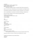 Monografía de Alemania.