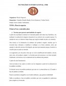 Plan de negocios Primera Fase: contenidos plan