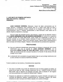 Expediente de Juicio Ordinario Civil de Divorcio Necesario - Apuntes - Lic  Marco Aurelio Cabrera