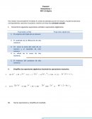 Matematicas i mv actividad 2