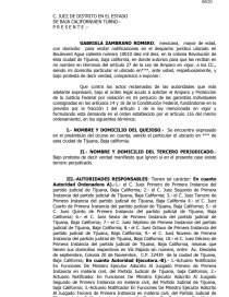 Amparo indirecto civil promovido por tercero extraño a juicio. - Tareas -  roluronapa