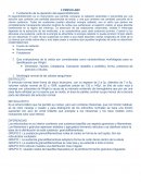 Fundamento de la operación del espectrofotómetro