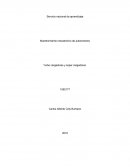 Supercargadores y turbocargadores