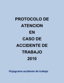 Tema- Protocolo de accidente de trabajo.