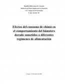 Efectos del consumo de chimú en el comportamiento del hámsters dorado sometidos a diferentes regímenes de alimentación