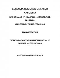 PLAN OPERATIVO ESTRATEGIA SANITARIA NACIONAL DE SALUD FAMILIAR Y  COMUNITARIA. - Apuntes - diego15742