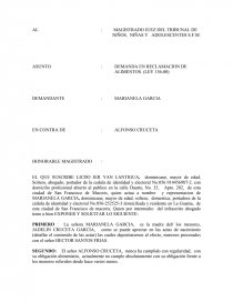 Procedimiento completo para someter una demanda por incumplimiento de  obligación alimentaria. - Ensayos - 171421022016