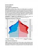 ESTUDIO DE MERCADO ESTADOS UNIDOS