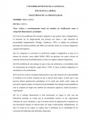 Critica o cuestionamiento hacia los modelos de clasificación como el categorial, dimensional y prototípico.