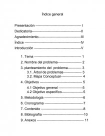 Ejemplo De Indice Investigacion Documentos De Investigacion