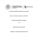 Ensayo acerca sistemas y su clasificación