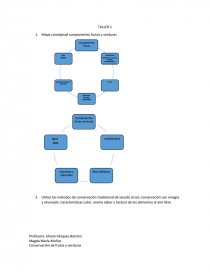 Mapa conceptual componentes frutas y verduras - Tareas - magdamaria