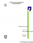 Tipos de planes alimentarios