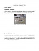 INFORME COMBUSTION RESULTADOS