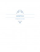 Genética. Todo organismo vivo hereda un mapa de vida de sus progenitores