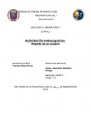 Acuario de embalses amazonicos