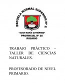 La levadura esta viva