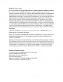 Ejemplo de una minera Estatal a privada
