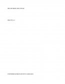 Informe circuito RC