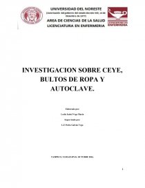 INVESTIGACION SOBRE CEYE, BULTOS DE ROPA Y AUTOCLAVE. - Informes - Sarita  Marin Garcia